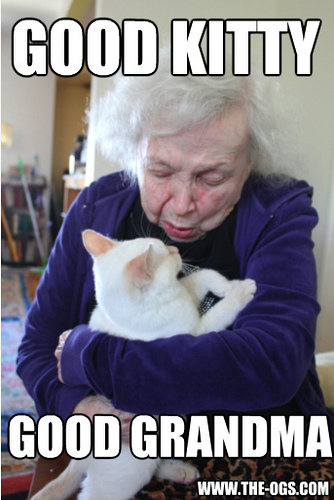 Good Kitty – Good Grandma